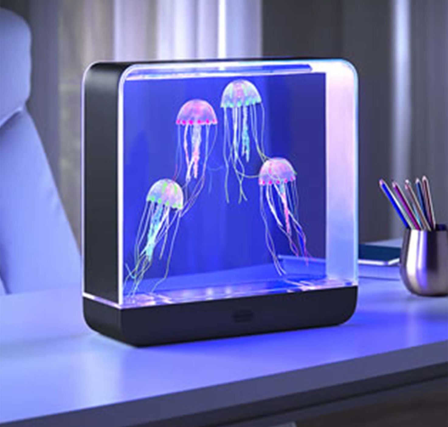 Jellyfish Oceanarium
